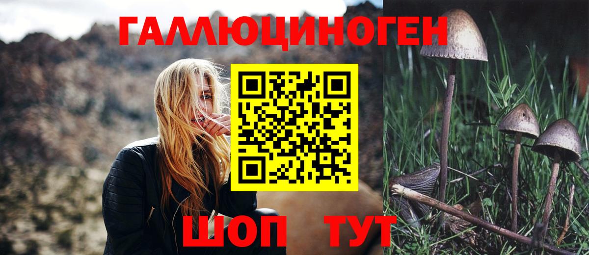 Галлюциногенные грибы MAGIC MUSHROOMS  Вход с VPN  Борисоглебск  Галлюциногенные грибы Cubensis 