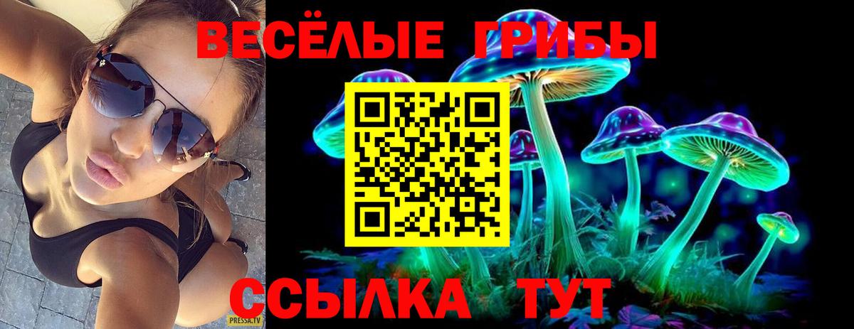 Псилоцибиновые грибы Cubensis Борисоглебск